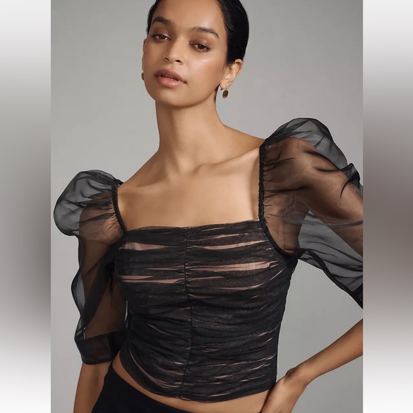 Mauve Elegant Black Sheer Puff Sleeve Top- NWT - Picture 1 of 6